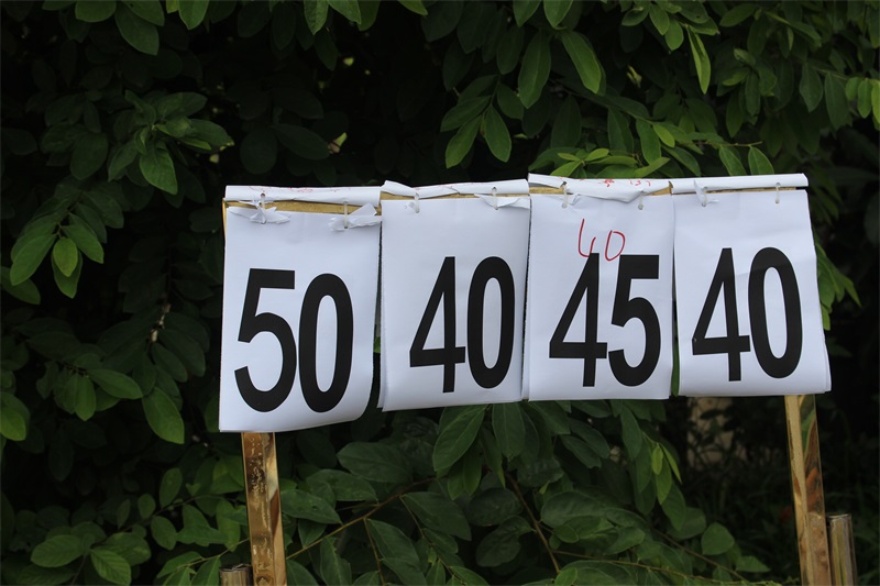 IMG_4413.JPG IMG_4413.JPG